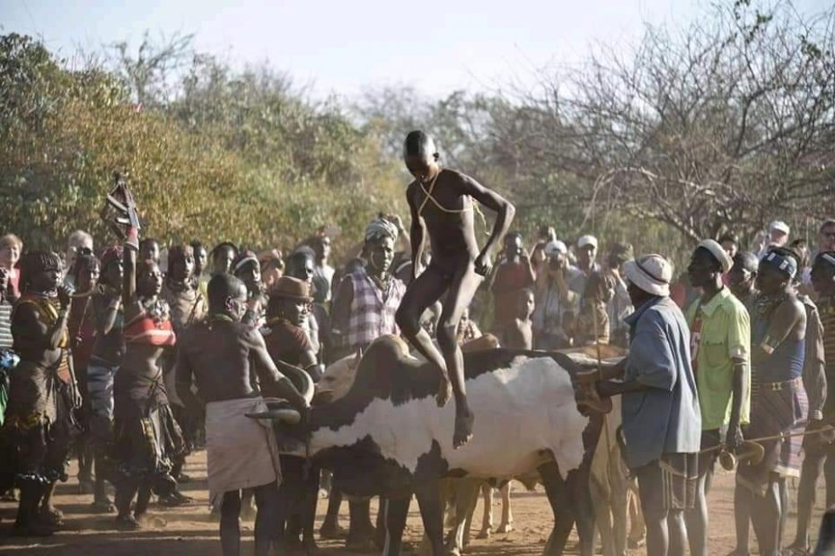 The Hamer Tribe Omo Valley My Ethiopia Tours